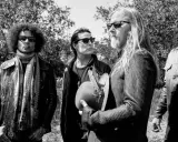 Medlemmar av Alice in Chains, fyra män med solglasögon, står utomhus bland träd. En håller en hatt med fjädrar.